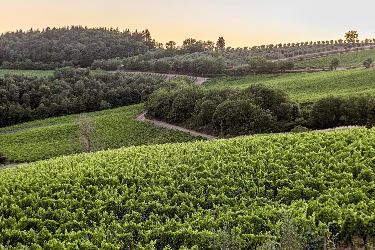 Agriturismo Concadoro Villa Castellina in Chianti Luaran gambar