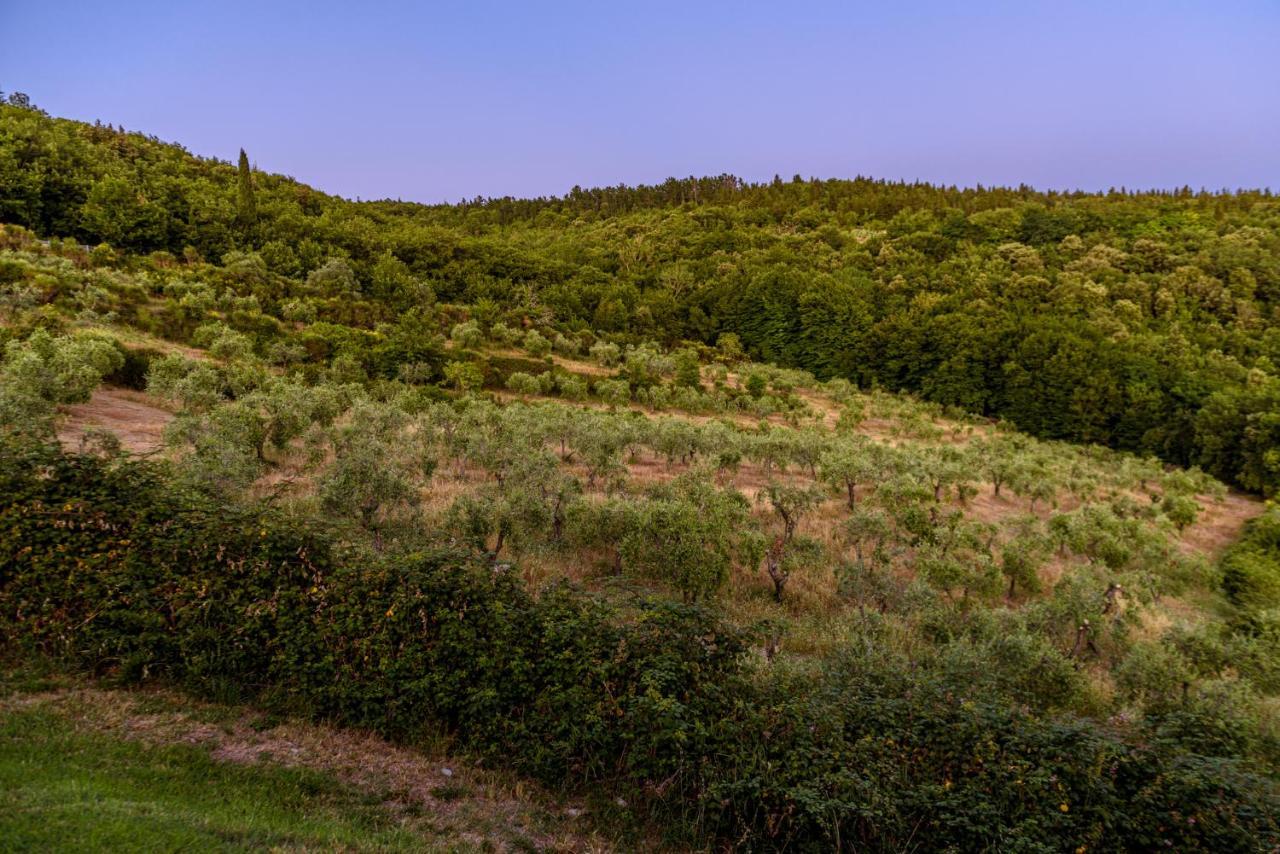 Agriturismo Concadoro Villa Castellina in Chianti Luaran gambar