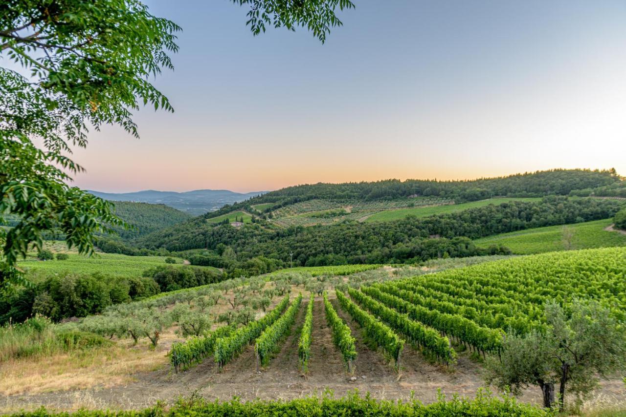 Agriturismo Concadoro Villa Castellina in Chianti Luaran gambar